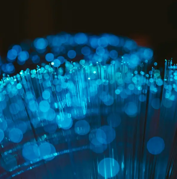 By facilitating collaboration and improving compliance and logistics workflows.